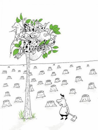 No obliguemos a las especies de fauna a huír de sus hábitats. Recordemos que somos un todo y también dependemos de ellas.