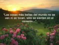 /album/fotogaleria/a530662-431094223606665-1852813896-n-jpg/